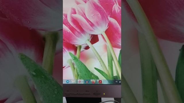 А.Понкьелли.Ария Джоконды из оперы 