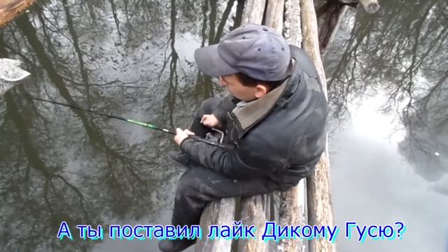 Рыбалка на бобров