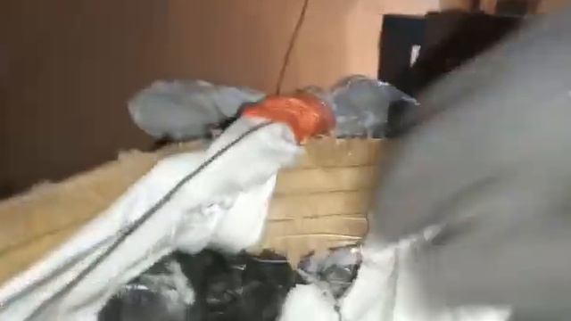Доставка угля в ковчег 