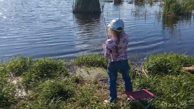 Ebf860c4dd4a33a06cd1854a00bd9533