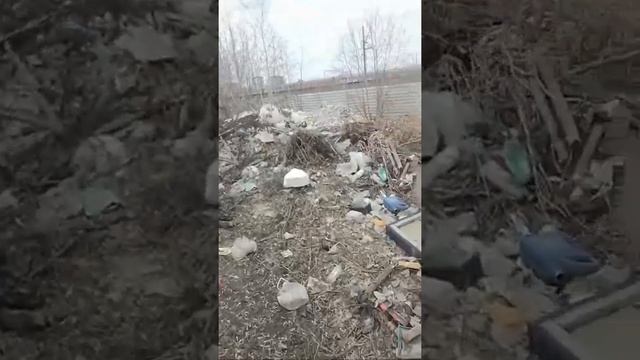 Новый арендатор.