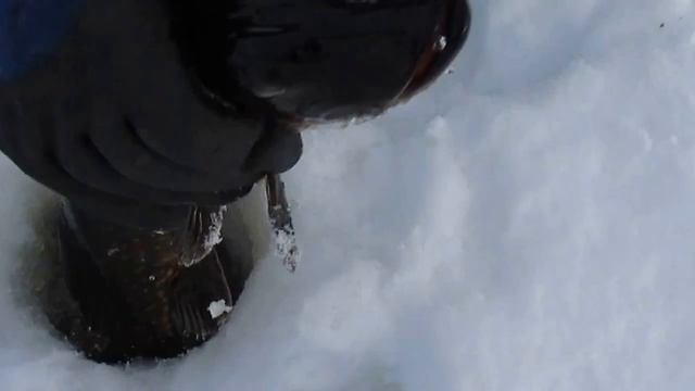 Проверяем жерлицу.