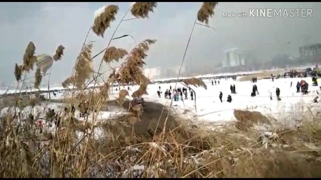 9193f23e374188a2056dee38f42f0510