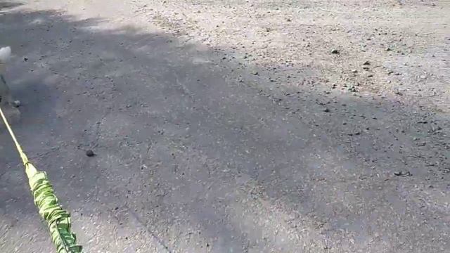 БайкДжоринг, испытание самодельной удочки.