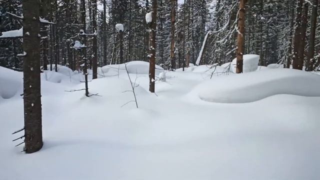 C2a726617895880b4c8a2912b9eb30e8