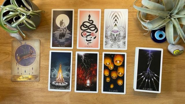 Spring - 1/4 Human Design Profile Tarot Reading