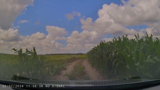 Дорога до платного водоема Кубовая - 2024 год