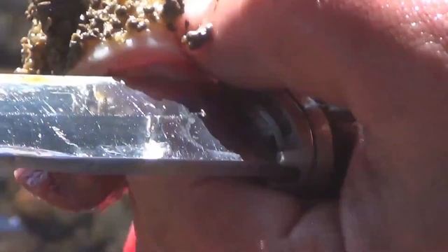 Хариус осенью питается улитками Посмотрите на красавцев Хариусов