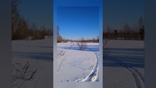 Авторская песня 