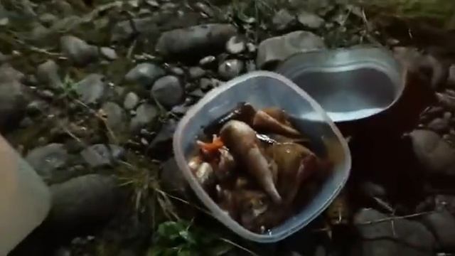 17 октября 2020 г.