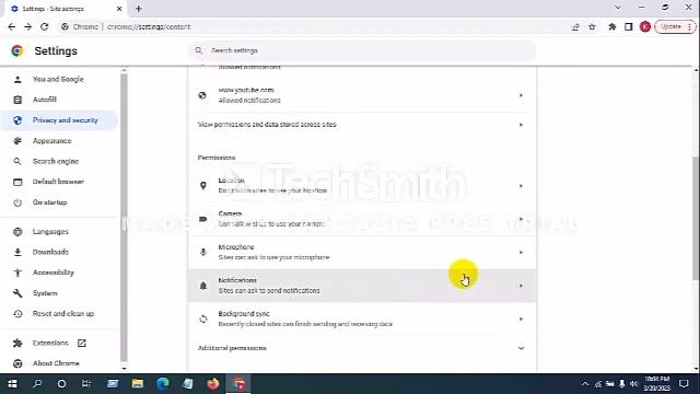 Google Chrome Important Update & Setting