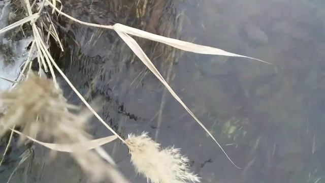 Зимняя рыбалка не закончилась