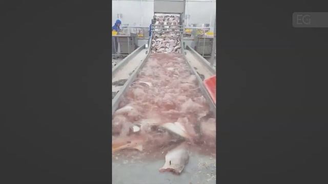 6d19065eac324202e229b77086ded388