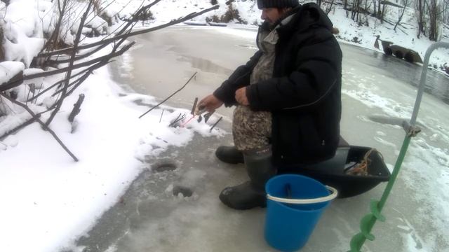 ЛОВИМ ЖИВЦА ДЛЯ ЖЕРЛИЦ№146.