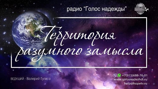 Интервью. Попов А.В., часть 2 (14) | программа 