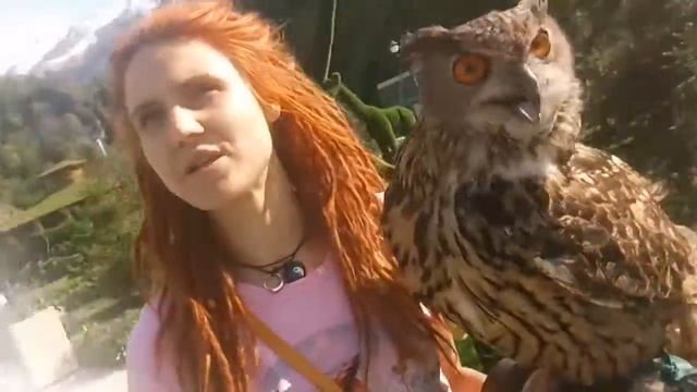 Выноска Сары