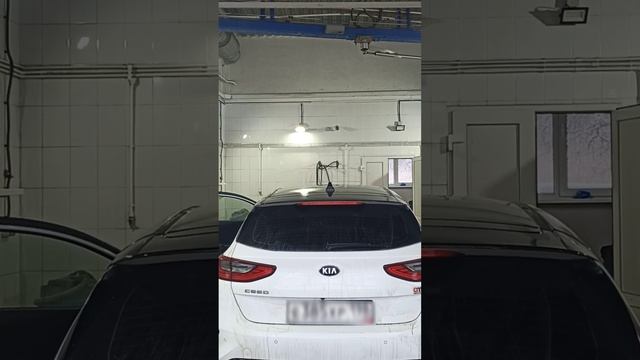 #Мойка #обжирован