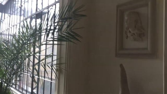 D36b67a184d44d144a2ac3b0d9fe8fcf