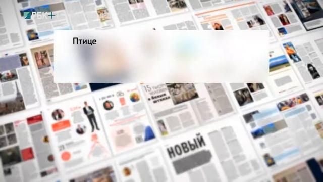 МЕДИАПОЛЕ  С ОКСАНОЙ СЕМИКОВОЙ 12.10.2017