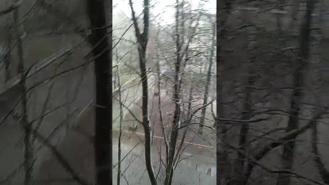 Белые мухи летят 22.04.2020