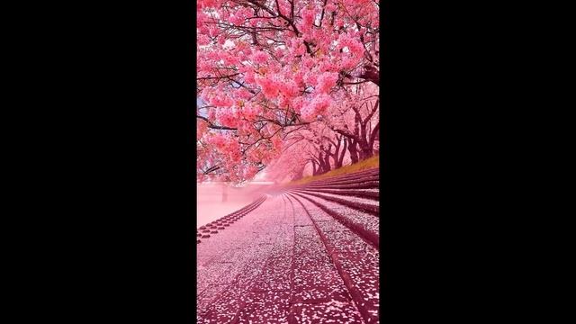 Восхищение церкви (6) (the Rapture Of The Church)