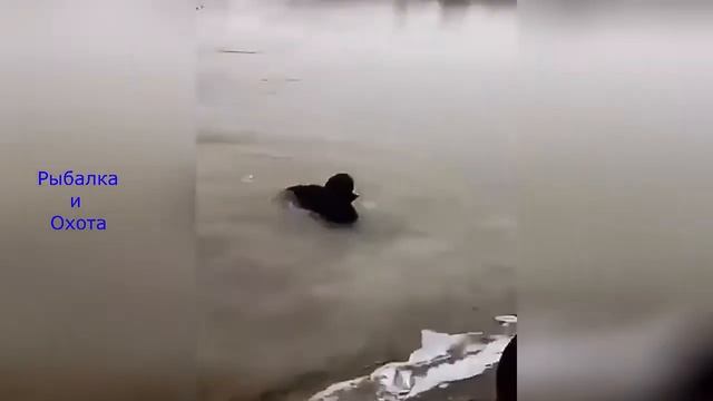 Русская охота  Рыбалка по русски