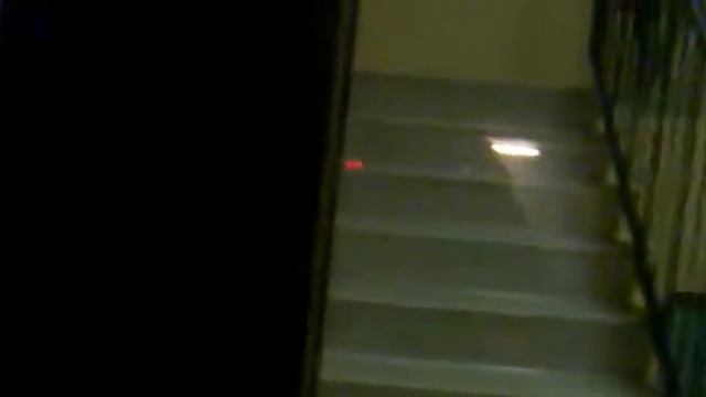 Skojar Med En Svene / прикол