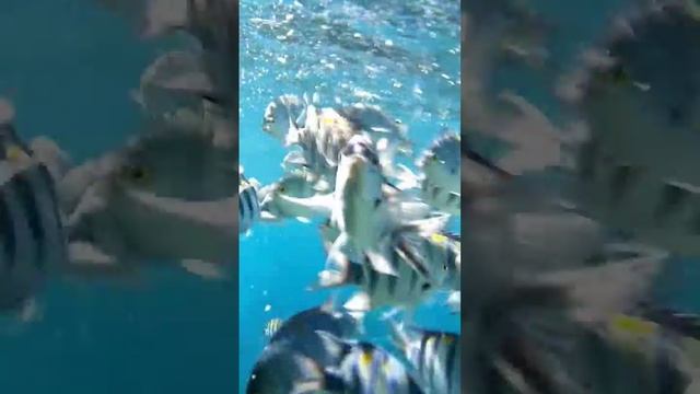 25d3a755a909577a1dbf79e8a3263ddc