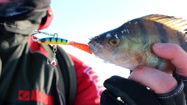 Ловля окуня на балансир SPRUT KAMO  Kamfish