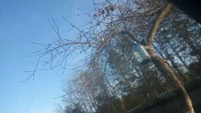 Сделай кормушку - покорми птиц ! 🐦