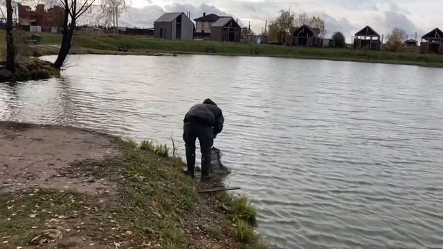 Форель на белый маггот