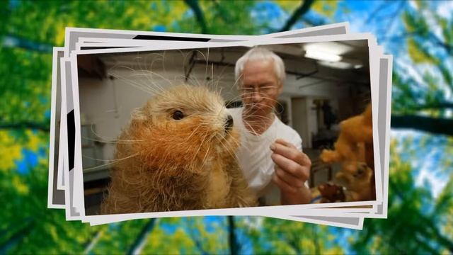 15 лет Музею леса