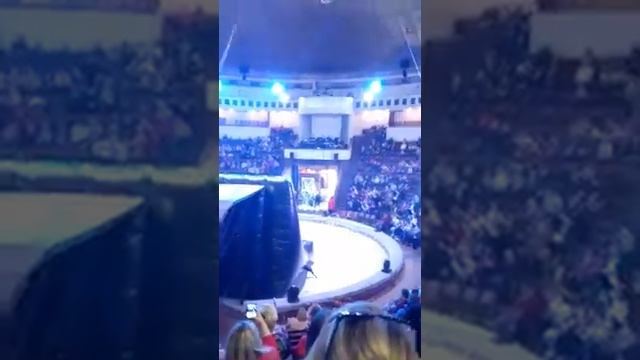 Очень крутое видео (СМОТРЕТЬ ДО КОНЦА!!!)