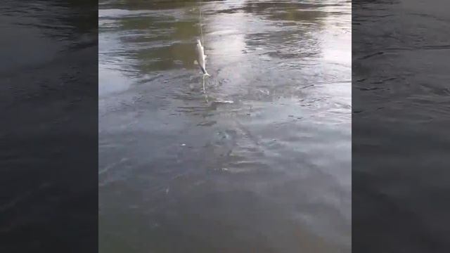 9 марта 2020 г.