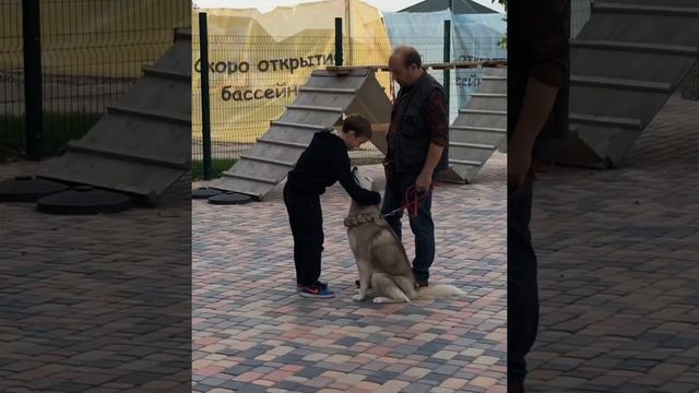 Emoji Park Almaty 2019