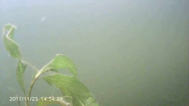 4c40062a09583093e74de0fe9e9ee510