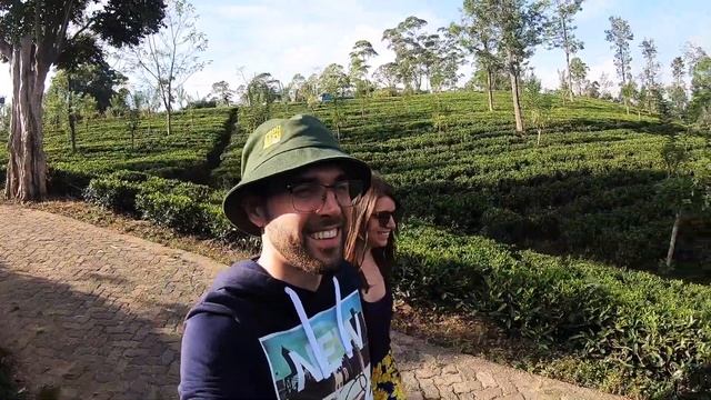 ШриЛанка 2.0 Поезд, Чай и ПикАдама