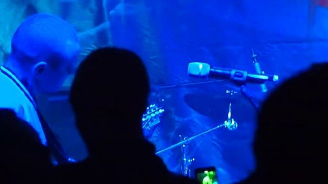 Синие маки  Лом 01/12/2018: ПАНКИ В ГОРОДЕ! Донбасская версия