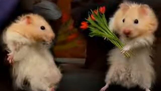 Просто классное видео