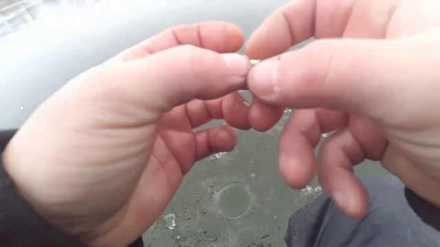 Рыбалка со льда / голодные коты атакуют