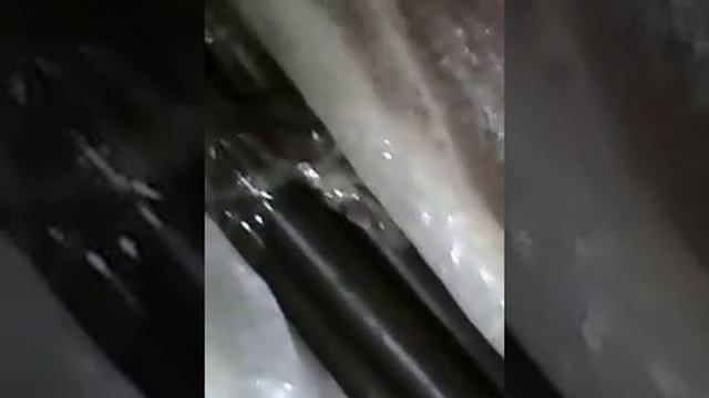 2a099a85f88f7b327f5cf2fc58980594