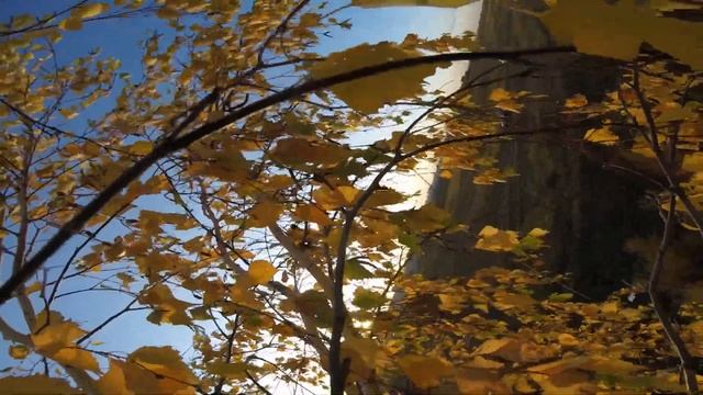 Спасение дрона за одну минуту :)