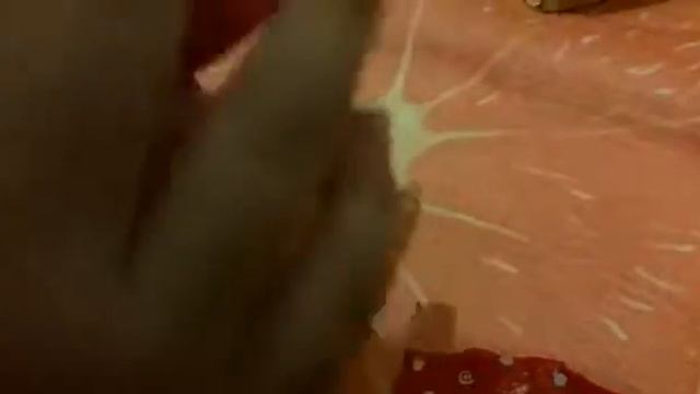 368a7a0bd2577e9ba28ed7290143dd6b