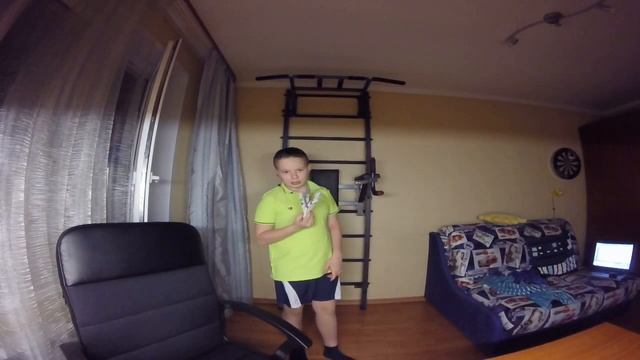 Обзор шведской стенки