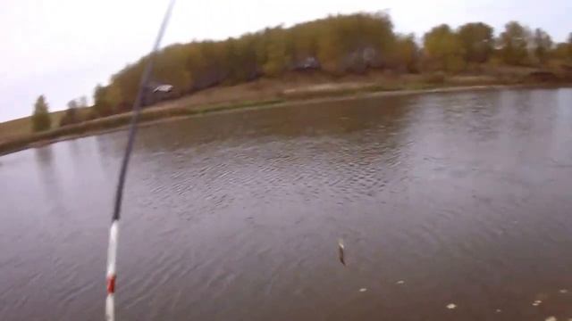 Окунь в отвес на джиг-2