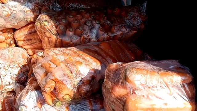 Морковь опт от фермеров Великие Копани | Россия | Copany Market