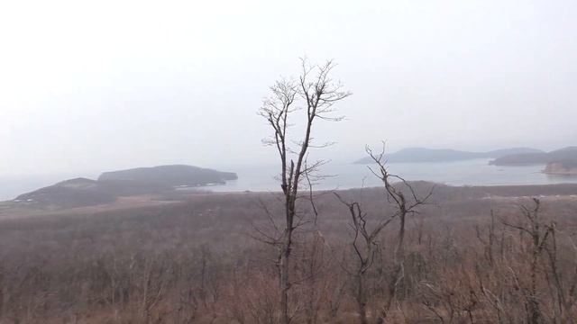 A3a41f6f38f4c8e374bf44c9121a23d7