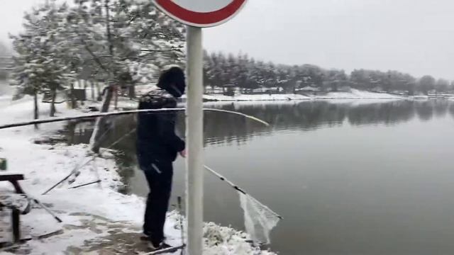 Основной - форель на пасту