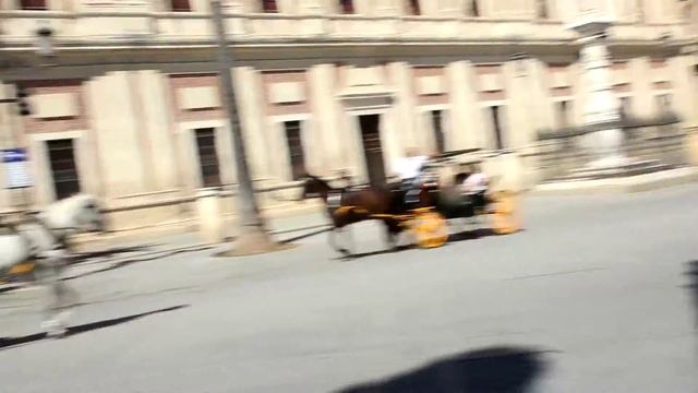 Севилья - лошади