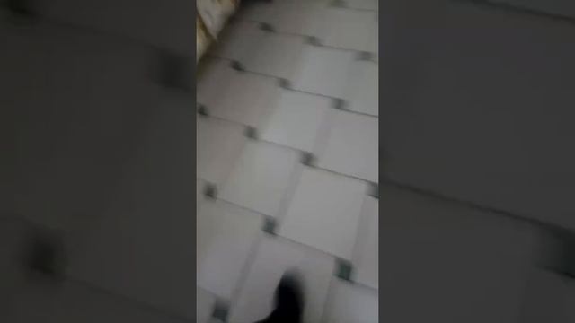 9d051ced45c35bc941a11b67825c7974